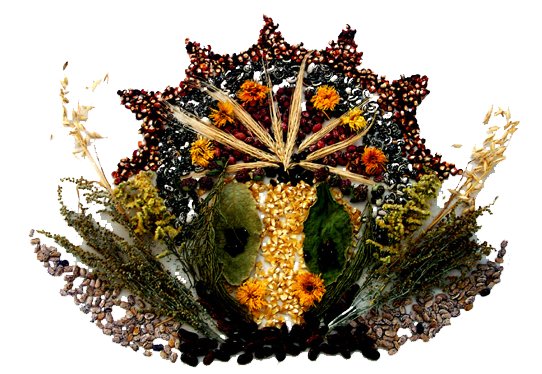 FSL-logo-image