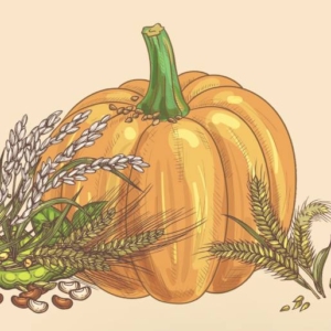 Fête des semences 2025