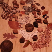 La Fête des Semences de Lanaudière 2026